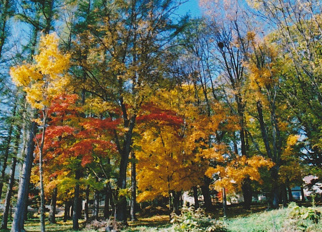 Cottage Morino Nakamatachi NakaNakafurano Εξωτερικό φωτογραφία